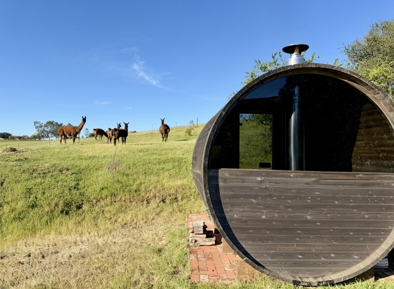 Wood-fired sauna and llamas at Loving Llama Wellness Retreat